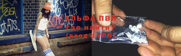 индика Зерноград