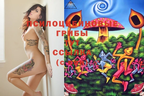 индика Зерноград
